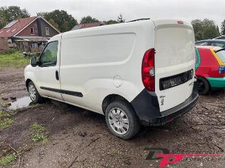 Fiat Doblo Doblo Cargo (263), Van, 2010 1.3 MJ 16V DPF Euro 5 picture 7