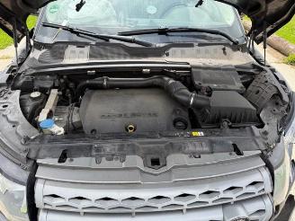 Land Rover Range Rover Evoque Range Rover Evoque (LVJ/LVS), SUV, 2011 / 2019 2.2 eD4 16V 5-drs. picture 9
