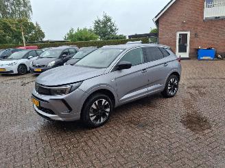 Unfallwagen Opel Grandland 1.6 hybrid plug in     navi clima 2023/9