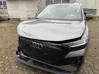 Audi Q4 45 E-Tron  45 Quattro S-Edition Competition picture 4