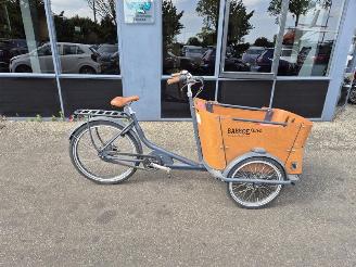 damaged bicycles Overige  Baloe Curve 2020/2