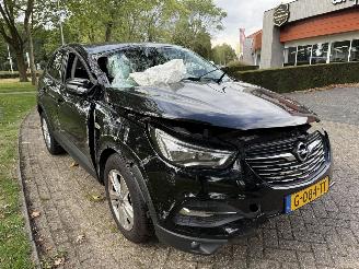 Opel Grandland X picture 7