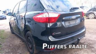 Ford C-Max C-Max (DXA), MPV, 2010 / 2019 1.6 Ti-VCT 16V picture 13