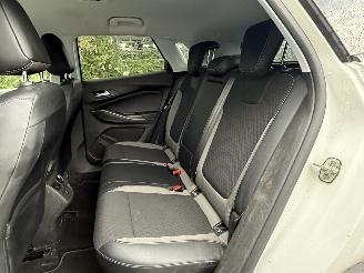 Opel Grandland X picture 7
