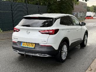 Opel Grandland X picture 3