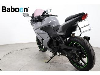 Kawasaki Ninja 250 R  picture 4