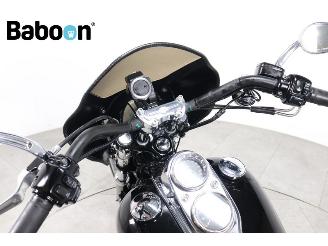 Harley-Davidson  FXDL Dyna Low Rider picture 11