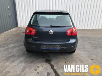 Volkswagen Golf Golf V (1K1), Hatchback, 2003 / 2010 1.4 16V picture 6