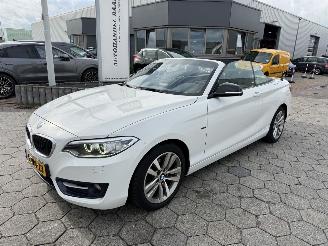  BMW 2-serie Cabrio 218i 2015/4