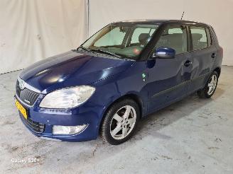 Voiture accidenté Skoda Fabia 1.2 TDI Greenline 2011/10
