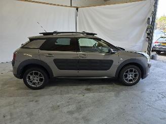 Citroën C4 cactus 1.2 PureTech Business picture 8