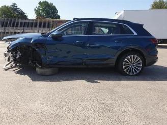 Audi E-tron e-tron (GEN), SUV, 2018 / 2023 55 quattro picture 8