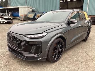 Purkuautot passenger cars Audi Q6 Q6 e-tron (GFB), SUV, 2024 Performance 100 kWh 2024/10
