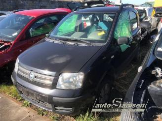 rozbiórka samochody osobowe Fiat Panda Panda (169), Hatchback, 2003 / 2013 1.2 Fire 2004/2