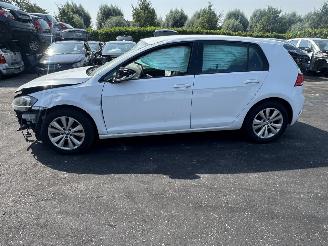 Volkswagen Golf  picture 2