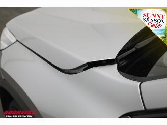 BMW iX1 xDrive30 67 kWh LED ACC Apple/Android Camera SHZ picture 12