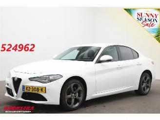uszkodzony samochody osobowe Alfa Romeo Giulia 2.2 Eco Business Super Leder BiXenon Navi Clima Cruise Camera 2017/1