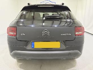Citroën C4 cactus 1.2 PureTech 82 Business Plus picture 5