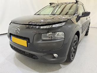 Citroën C4 cactus 1.2 PureTech 82 Business Plus picture 3