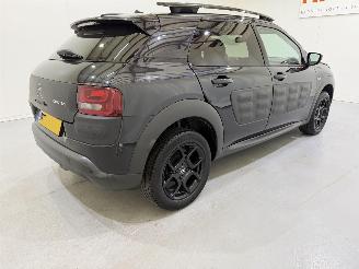 Citroën C4 cactus 1.2 PureTech 82 Business Plus picture 38