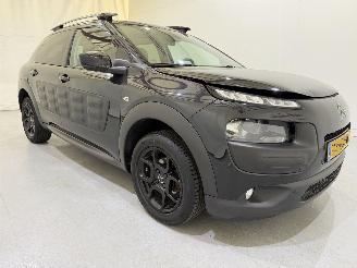 Citroën C4 cactus 1.2 PureTech 82 Business Plus picture 35