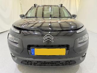 Citroën C4 cactus 1.2 PureTech 82 Business Plus picture 40