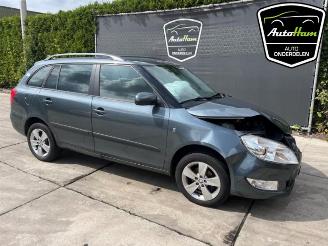 Autoverwertung Skoda Fabia Fabia II Combi, Combi 5-drs, 2007 / 2015 1.2 TSI 2014/2