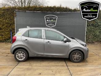 Salvage car Kia Picanto Picanto (JA), Hatchback, 2017 1.0 DPI 12V 2022/10