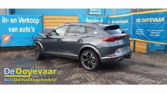 Salvage car Cupra Formentor Formentor, SUV, 2020 2.0 TSI 16V 4Drive 2021/3