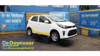 skadebil auto Kia Picanto Picanto (JA), Hatchback, 2017 1.0 DPi 12V 2022/8