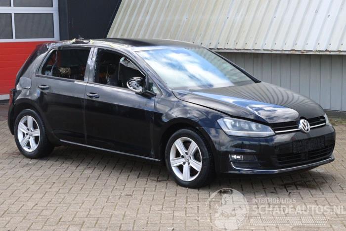 Volkswagen Golf Golf VII (AUA), Hatchback, 2012 / 2021 1.6 TDI 16V