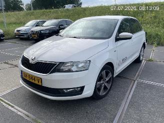 Schadeauto Skoda Rapid 1.0 TSI 2019/3