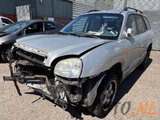 Sloopauto Hyundai Santa Fe Santa Fe I, SUV, 2000 / 2006 2.0 16V 4x2 2006/2