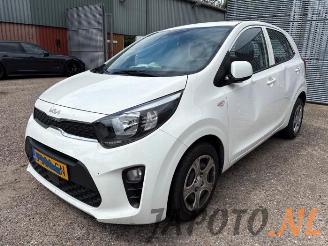 Purkuautot passenger cars Kia Picanto Picanto (JA), Hatchback, 2017 1.0 DPi 12V 2023/4