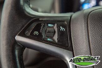 Opel Ampera 1.4 Plug-in Hybrid Leder Navi Camera Clima picture 11