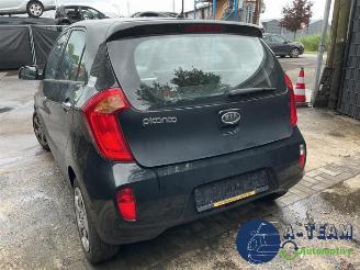 Kia Picanto Picanto (TA), Hatchback, 2011 / 2017 1.0 12V picture 14