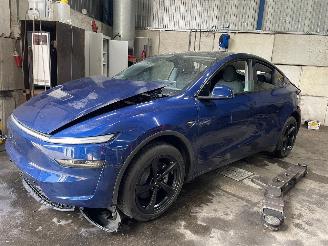 demontáž osobní automobily Tesla  Model Y SUV RWD 58 kWh, Long Range RWD 75 kWh (4D3) [220kW]  (01-2025/=
=2E..) 2025/6