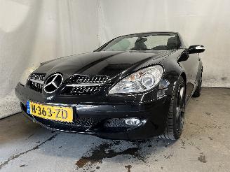 Avarii autoturisme Mercedes SLK SLK (R171) Cabrio 3.5 350 V6 24V (M272.963) [200kW]  (06-2004/02-2011)= 2005/8