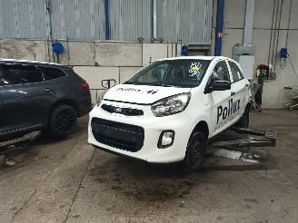 Dezmembrări autoturisme Kia Picanto Picanto (TA) Hatchback 1.0 12V (G3LA) [49kW]  (05-2011/06-2017) 2015/7