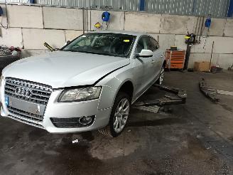 Purkuautot passenger cars Audi A5 A5 Sportback (8TA) Liftback 2.0 TDI 16V (CAHA) [125kW]  (09-2009/03-20=
12) 2009