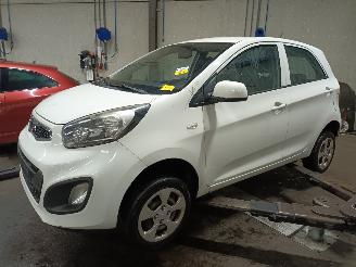 Salvage car Kia Picanto Picanto (TA) Hatchback 1.0 12V (G3LA) [51kW]  (05-2011/06-2017) 2013/5