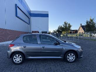 Avarii autoturisme Peugeot 206+ 1.4 XS Clima 2009/9