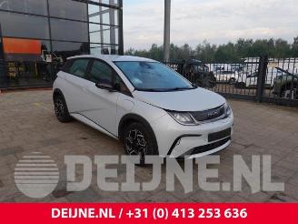 demontáž osobní automobily BYD Dolphin Dolphin, Hatchback 5-drs, 2021 60,4 kWh 2024/4