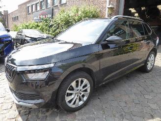Avarii autoturisme Skoda Kamiq Ambition 2024/1