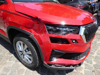 Skoda Karoq Selection picture 5
