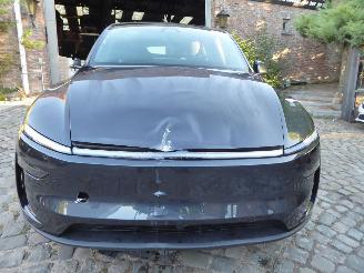 Tesla Model Y Premium Long Range RWD picture 2