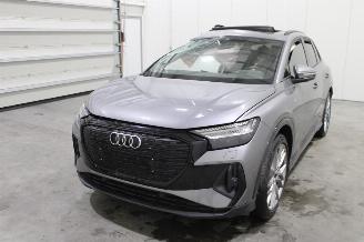 Autoverwertung Audi Q4 e-tron 2023/5