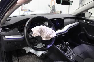 Skoda Octavia  picture 10