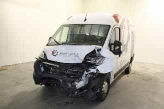 krockskadad bil auto Opel Movano  2024/2