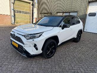 škoda osobní automobily Toyota Rav-4 2.5 Hybrid AWD Bi-Tone 2019/11